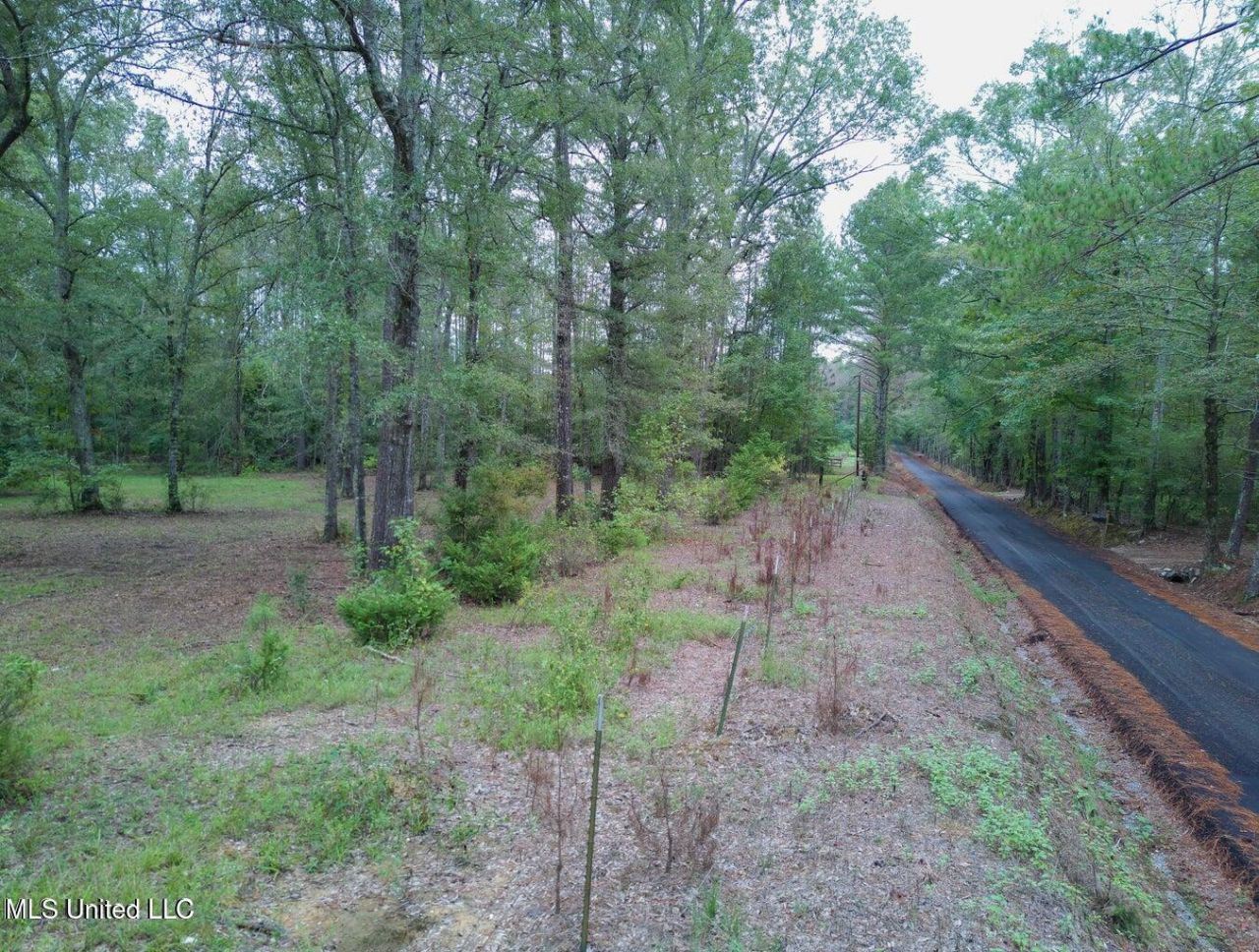 Taylor Way, Pisgah, MS 39047 Main Photo