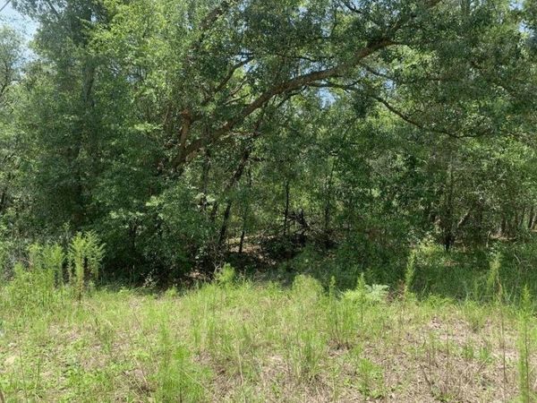 0 Oklahoma Avenue, Satsuma, FL 32189