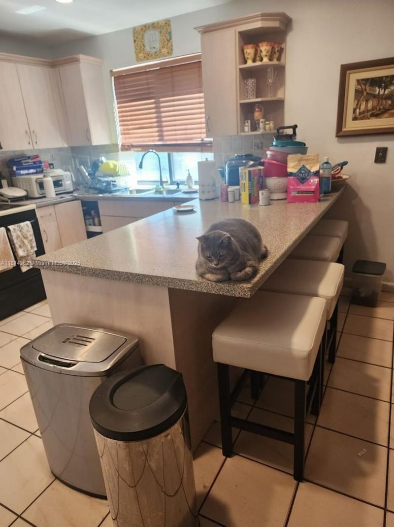 11060 SW 143rd Pl, Miami, FL 33186 Photo