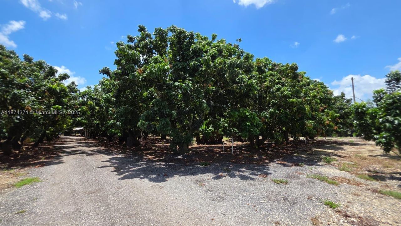 20970 SW 296 St., Homestead, FL 33030 Photo