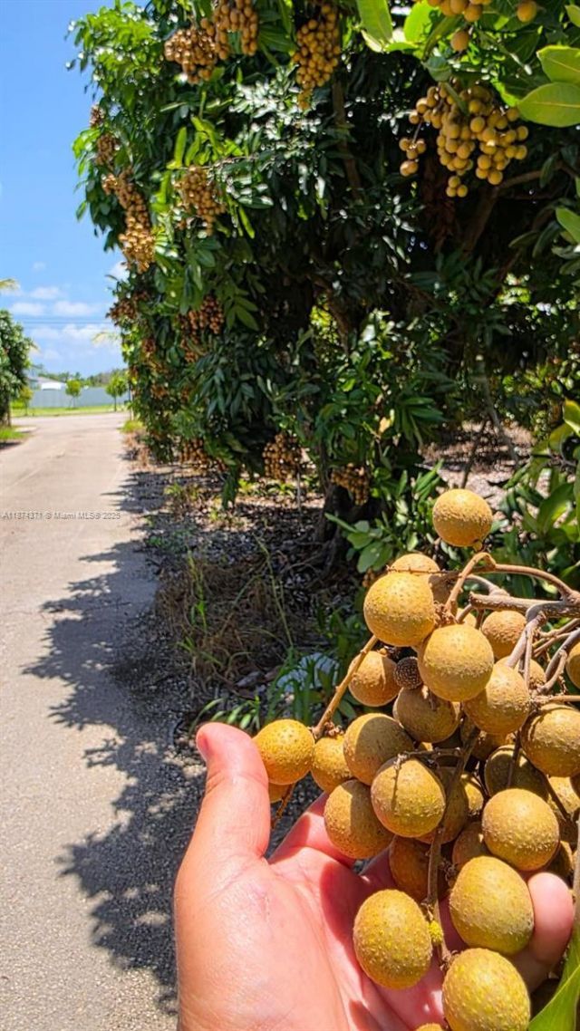 20970 SW 296 St., Homestead, FL 33030 Photo