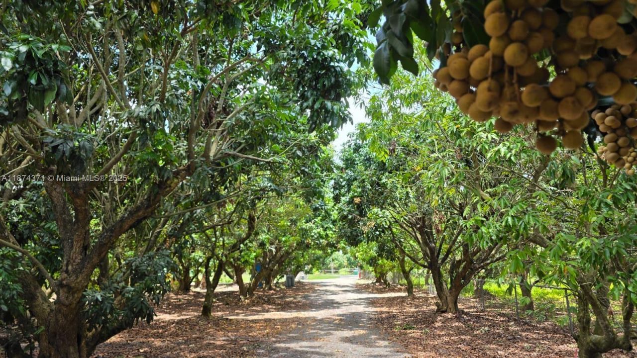 20970 SW 296 St., Homestead, FL 33030 Photo