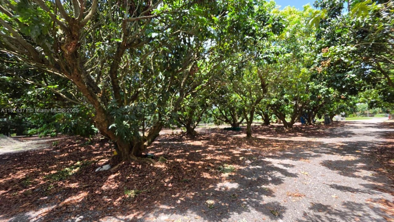 20970 SW 296 St., Homestead, FL 33030 Photo