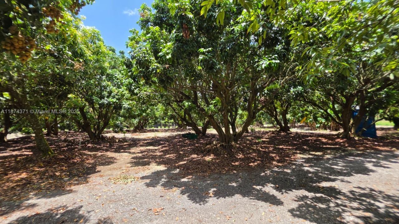 20970 SW 296 St., Homestead, FL 33030 Photo