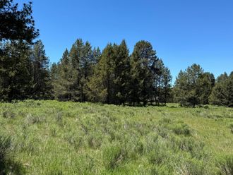 NFD 440 Road Chiloquin, OR 97624