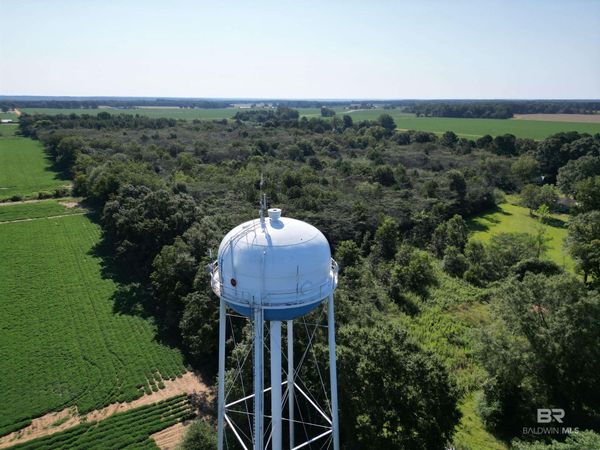 00 Wiggins Road, Frisco City, AL 36445