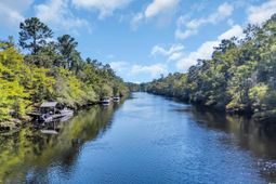 1820 Gray Oaks Dr. photo 4