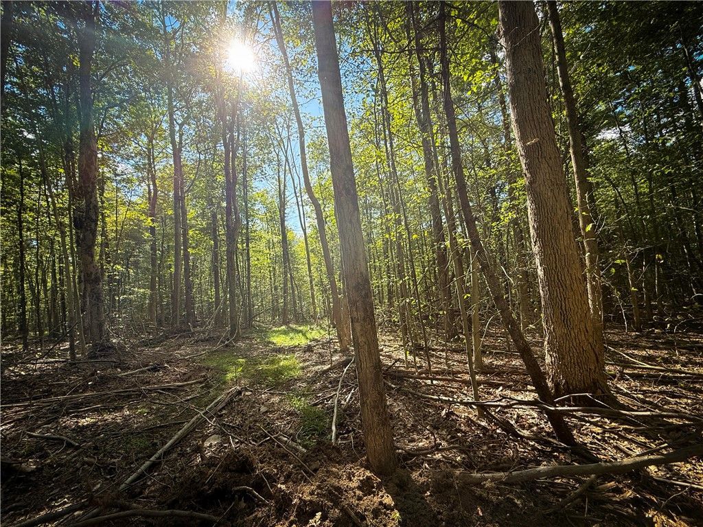 Hollister Road, Freeville, NY 13068 Main Photo