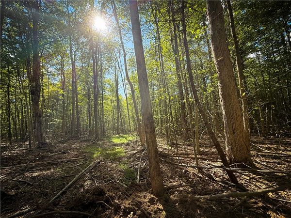 Hollister Road, Freeville, NY 13068