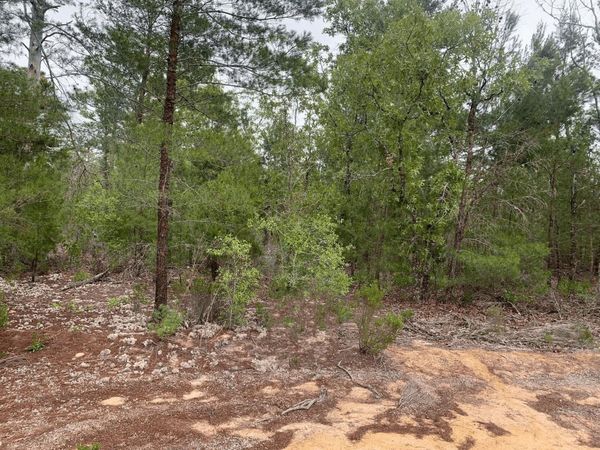 0 Gray Street, Interlachen, FL 32148