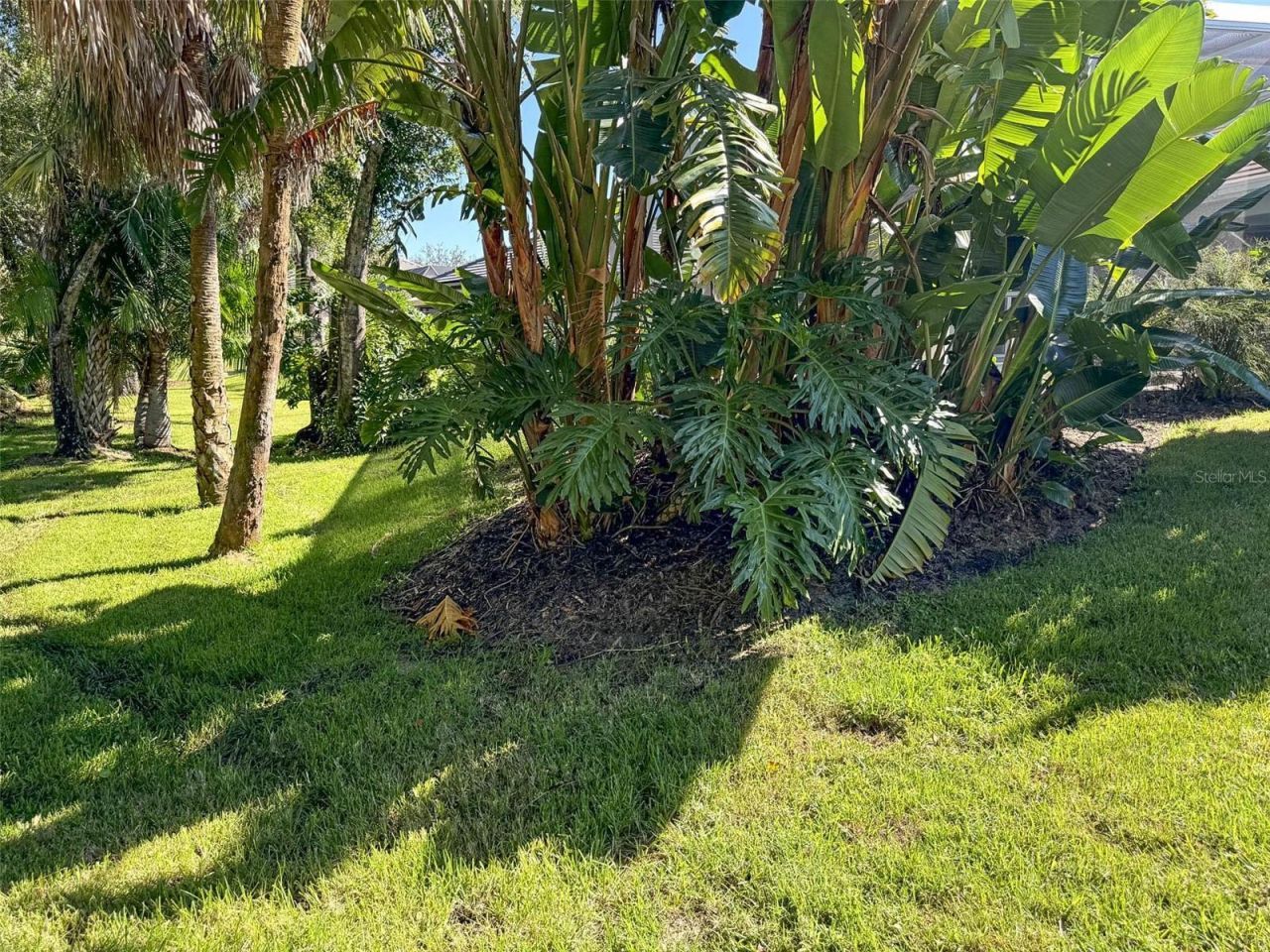 8204 Waterview Boulevard, Lakewood Ranch, FL 34202 Photo