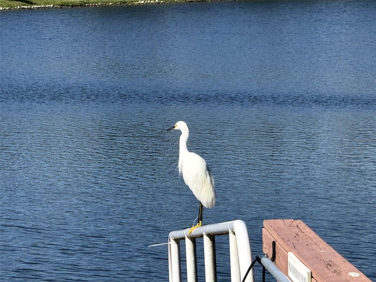 8204 Waterview Boulevard, Lakewood Ranch, FL 34202 Photo