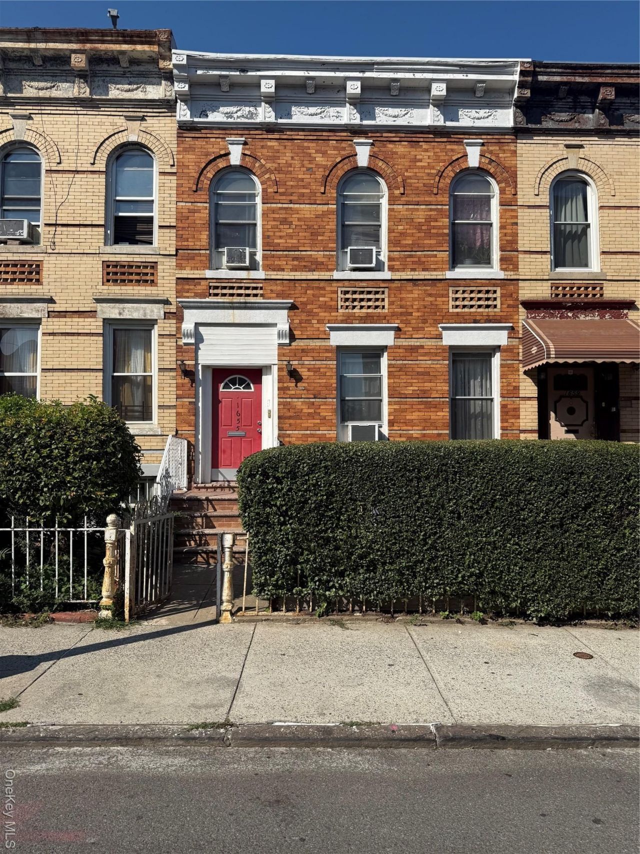 1655 Lincoln Place, Brooklyn, NY 11233 Main Photo
