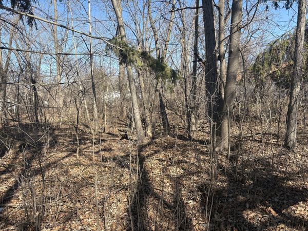 25118 W Catherine Drive, Antioch, IL 60002