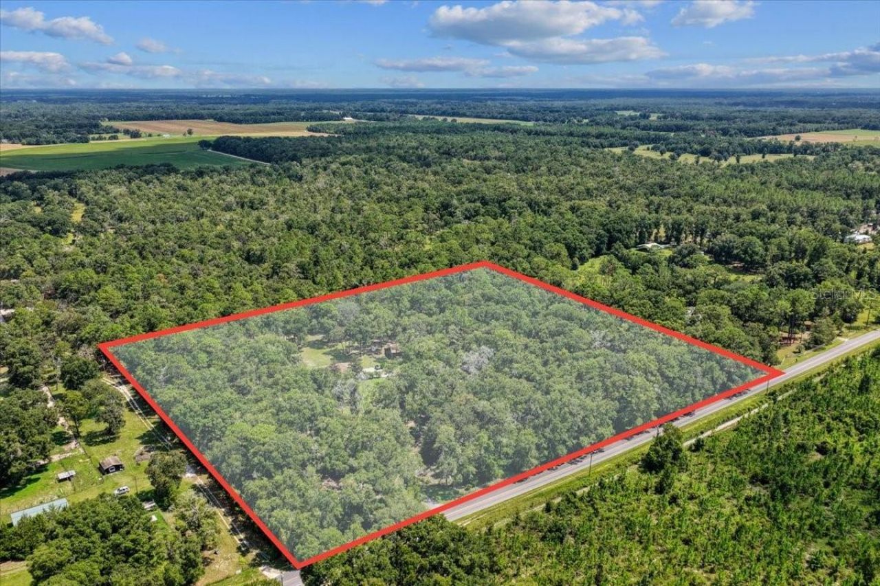 4700 NW 55th Avenue, Bell, FL 32619 Photo