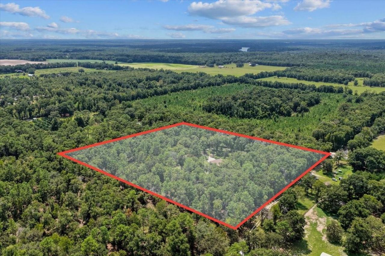 4700 NW 55th Avenue, Bell, FL 32619 Photo