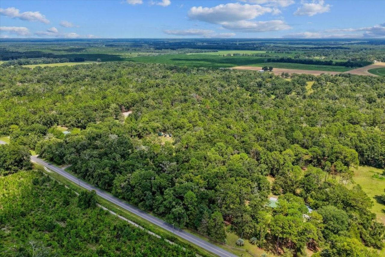 4700 NW 55th Avenue, Bell, FL 32619 Photo