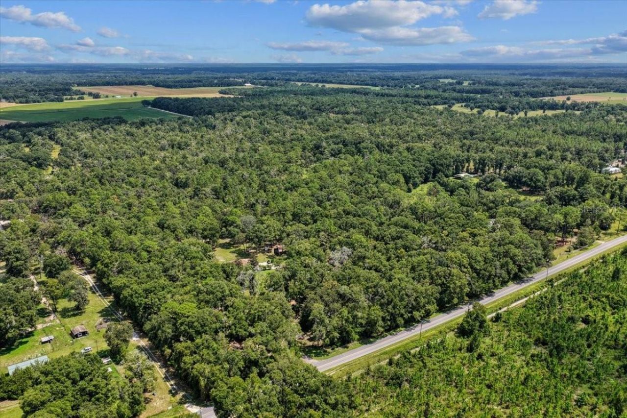 4700 NW 55th Avenue, Bell, FL 32619 Photo