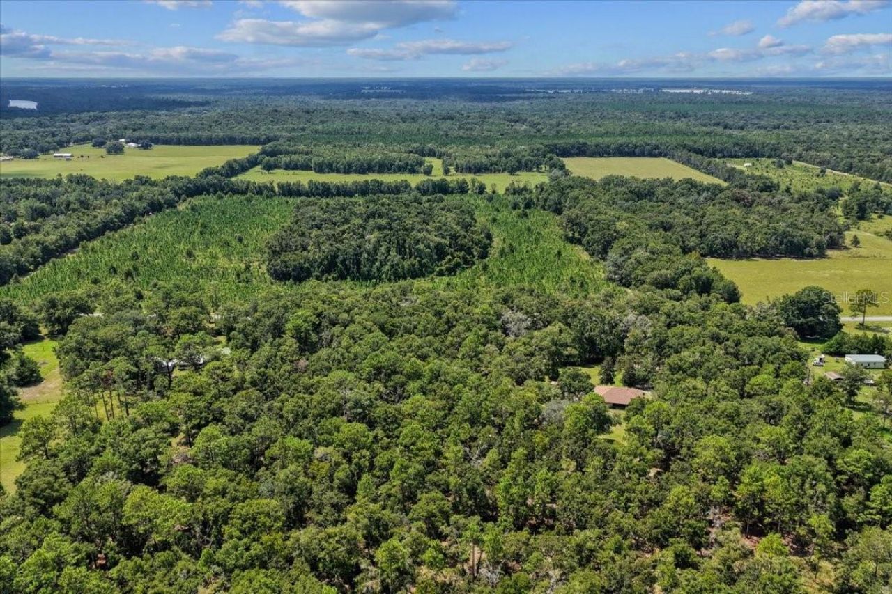 4700 NW 55th Avenue, Bell, FL 32619 Photo