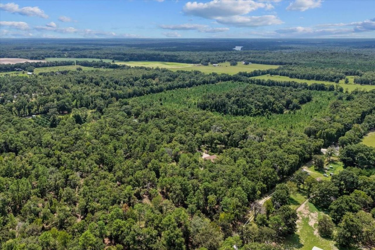 4700 NW 55th Avenue, Bell, FL 32619 Photo