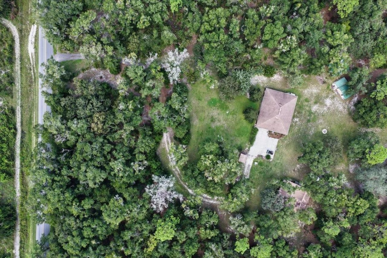 4700 NW 55th Avenue, Bell, FL 32619 Photo