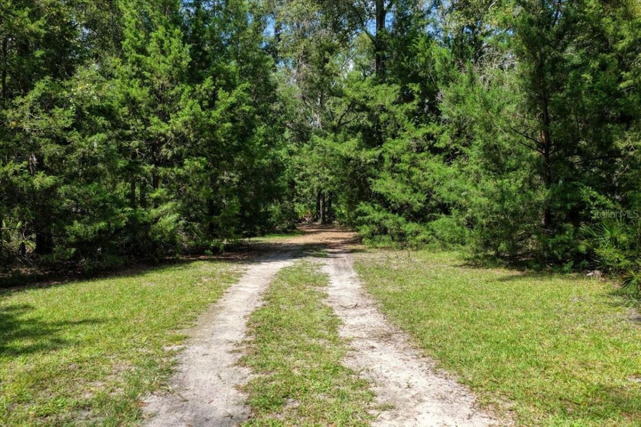 4700 NW 55th Avenue, Bell, FL 32619 Photo