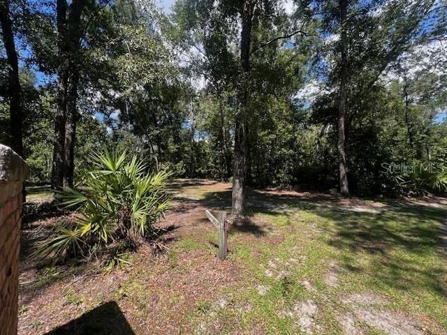 4700 NW 55th Avenue, Bell, FL 32619 Photo