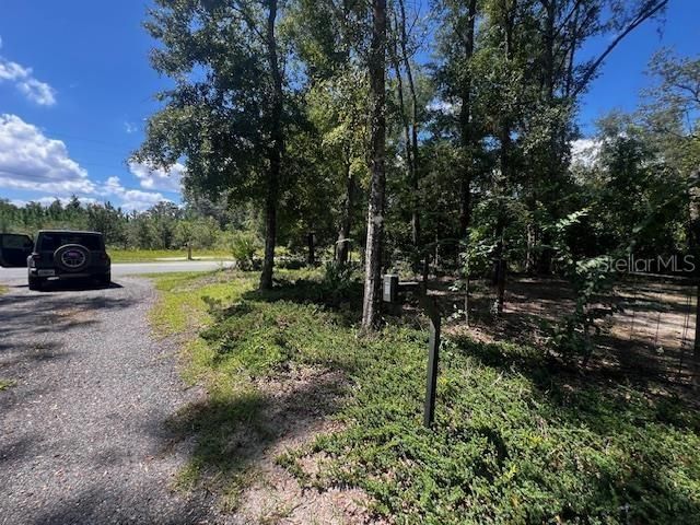 4700 NW 55th Avenue, Bell, FL 32619 Photo