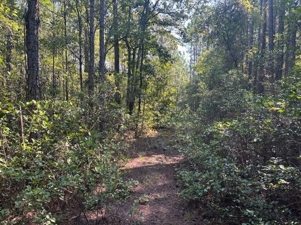 224 SE 8th Avenue, Palatka, FL 32177