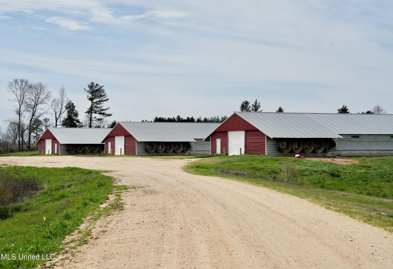 595 Mt Zion Road, Prentiss, MS 39474 Main Photo