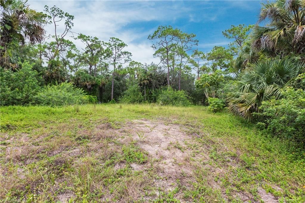 3180 Packinghouse Rd, Alva, FL 33920 Photo