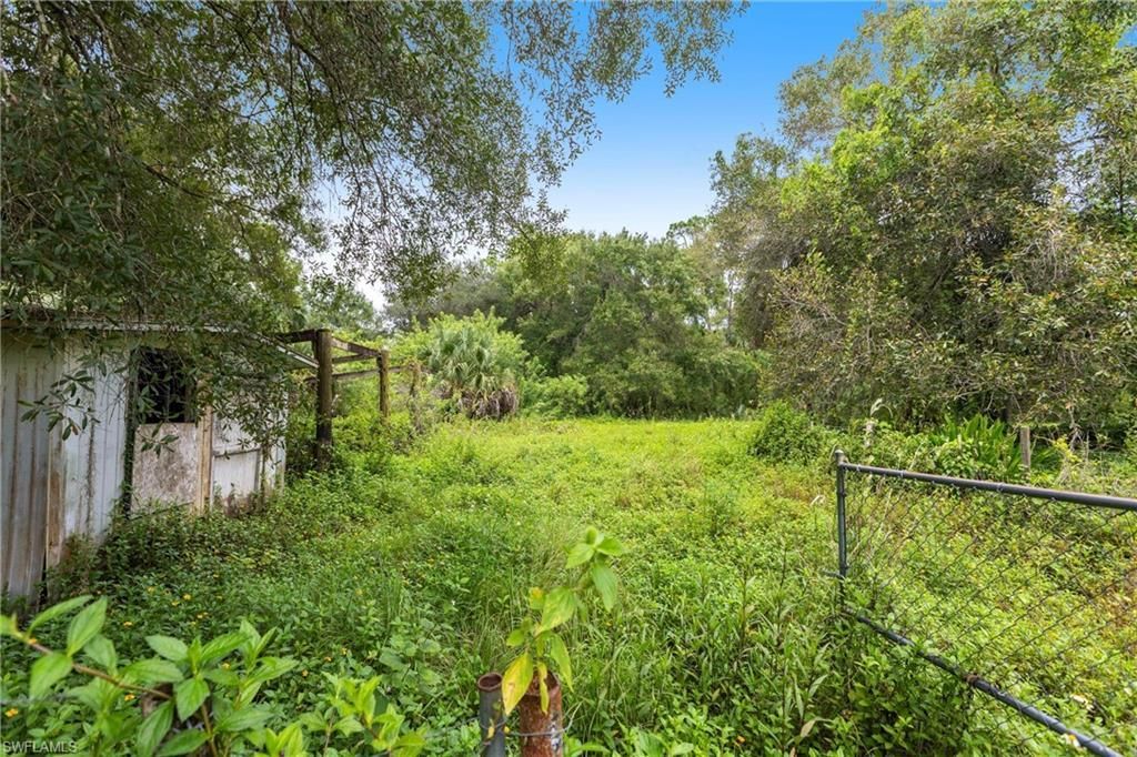 3180 Packinghouse Rd, Alva, FL 33920 Photo