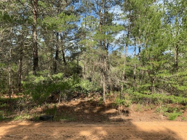 0 Louise Avenue, Interlachen, FL 32148