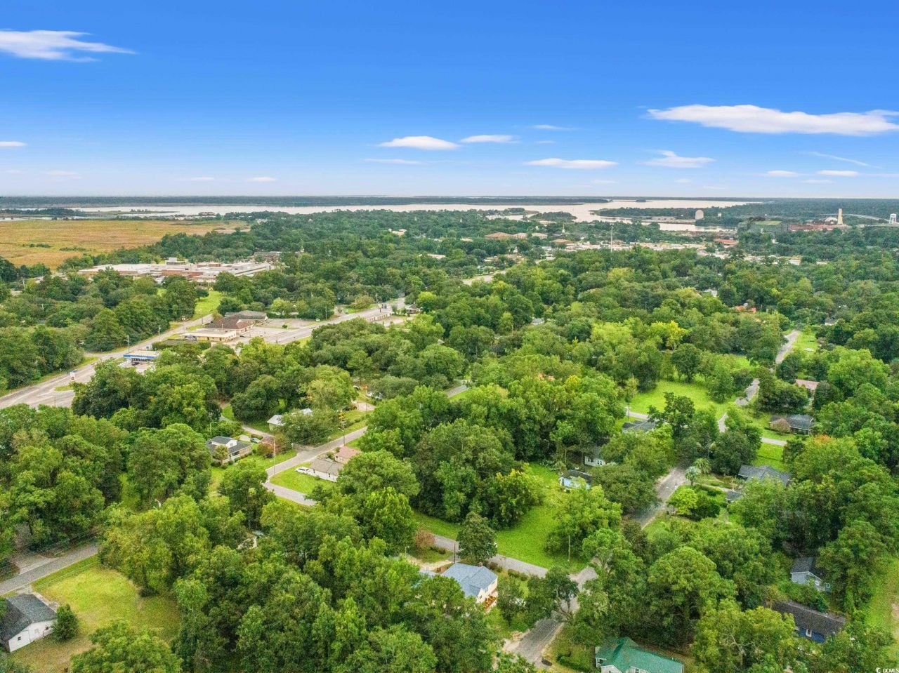 902 Palm St. Photo 29