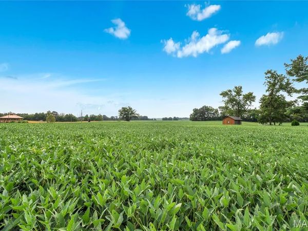 Lot 2 E Back Street, Hecker, IL 62248