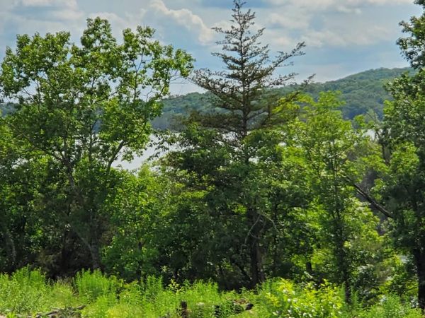 000 Lot 78 Summer Breeze, Kimberling City, MO 65686
