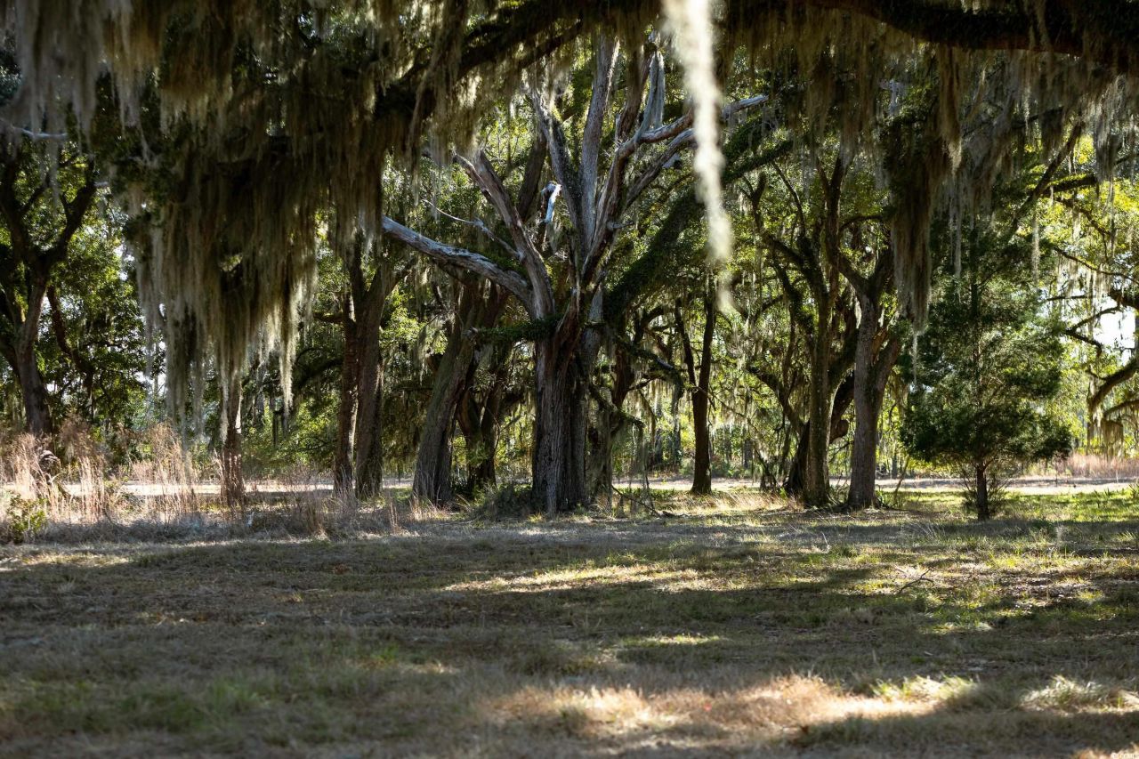 1939 Mauricena Rd. Photo 11