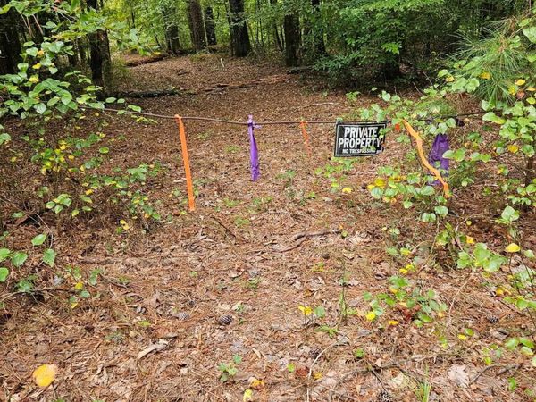 E 28 Acres Dallas 203, Carthage, AR 71725