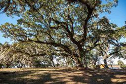 1939 Mauricena Rd. photo 4