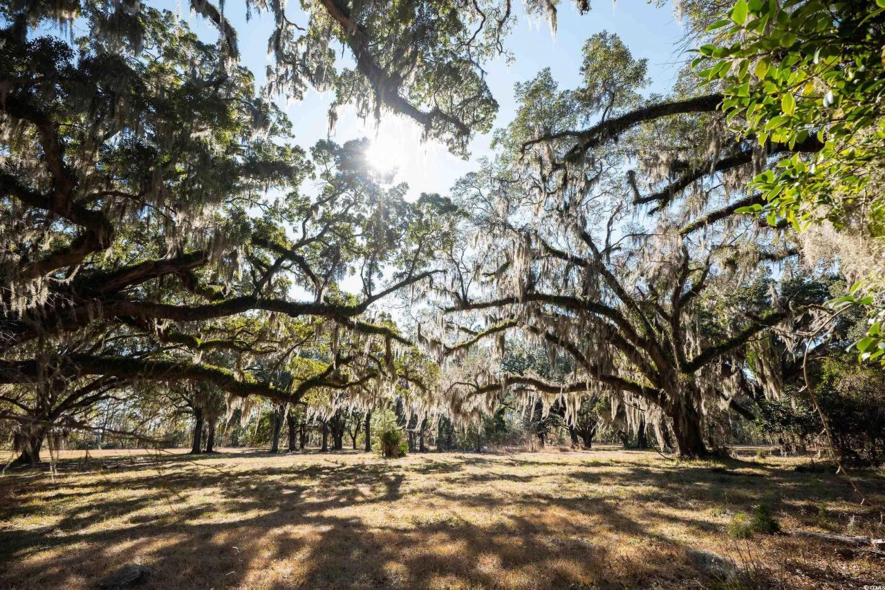 1939 Mauricena Rd. Photo 8