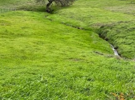 4090 Beaver Rd, Ione, CA 95640 Photo