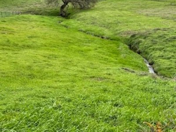 4090 Beaver Rd, Ione, CA 95640