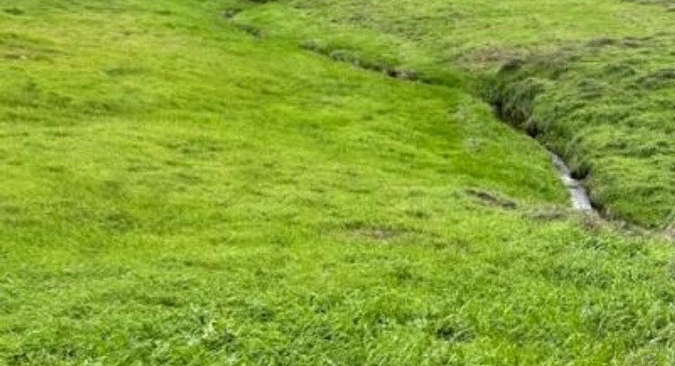 4090 Beaver Rd, Ione, CA 95640 Photo