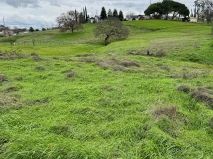 4090 Beaver Rd, Ione, CA 95640 Photo