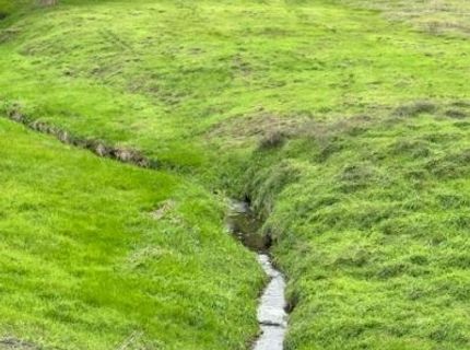 4090 Beaver Rd, Ione, CA 95640 Photo