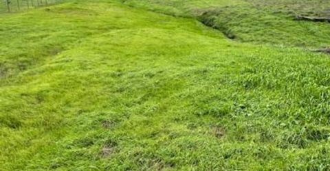 4090 Beaver Rd, Ione, CA 95640 Photo