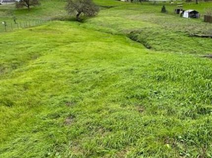 4090 Beaver Rd, Ione, CA 95640 Photo