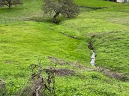 4090 Beaver Rd, Ione, CA 95640 Photo