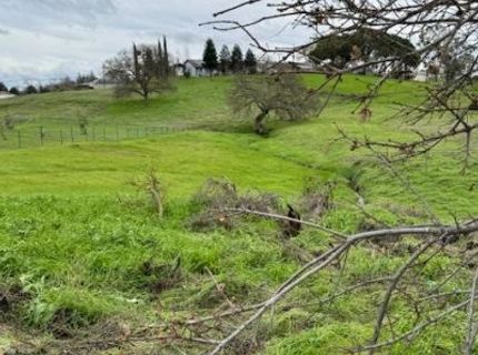 4090 Beaver Rd, Ione, CA 95640 Photo