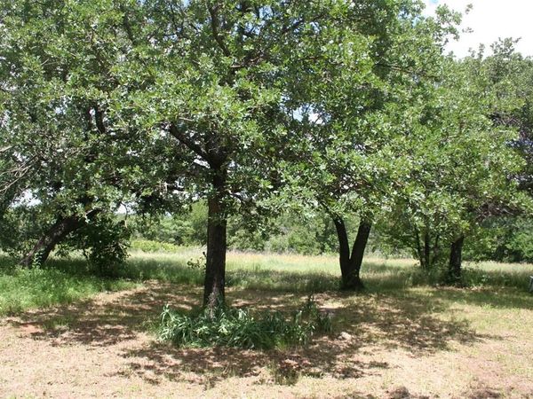 215a Buzbee Road, Palo Pinto, TX 76484